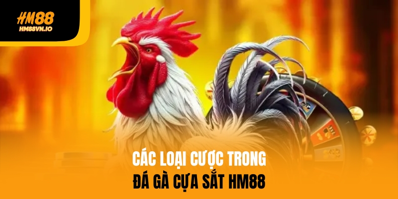 Các loại cược đá gà cựa sắt HM88