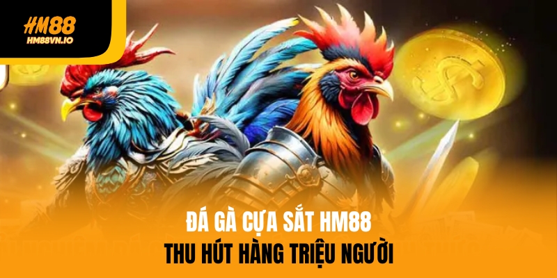 Đá gà cựa sắt thu hút hàng triệu người tham gia