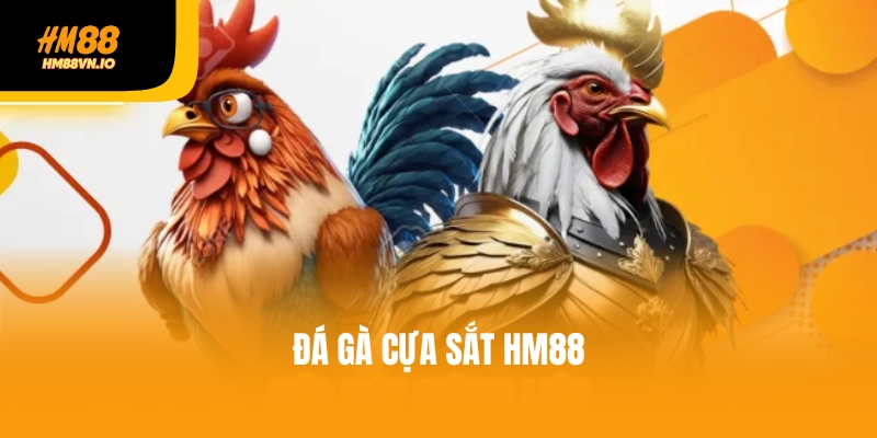 Điểm danh 4 loại cược đá gà cựa sắt hot nhất - Đừng bỏ lỡ